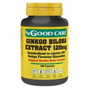 Ginkgo Biloba Extract 120mg 100caps